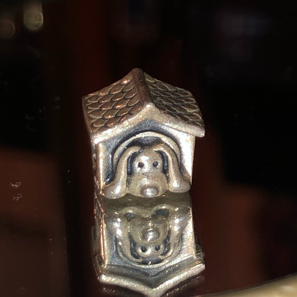 Pandora charm